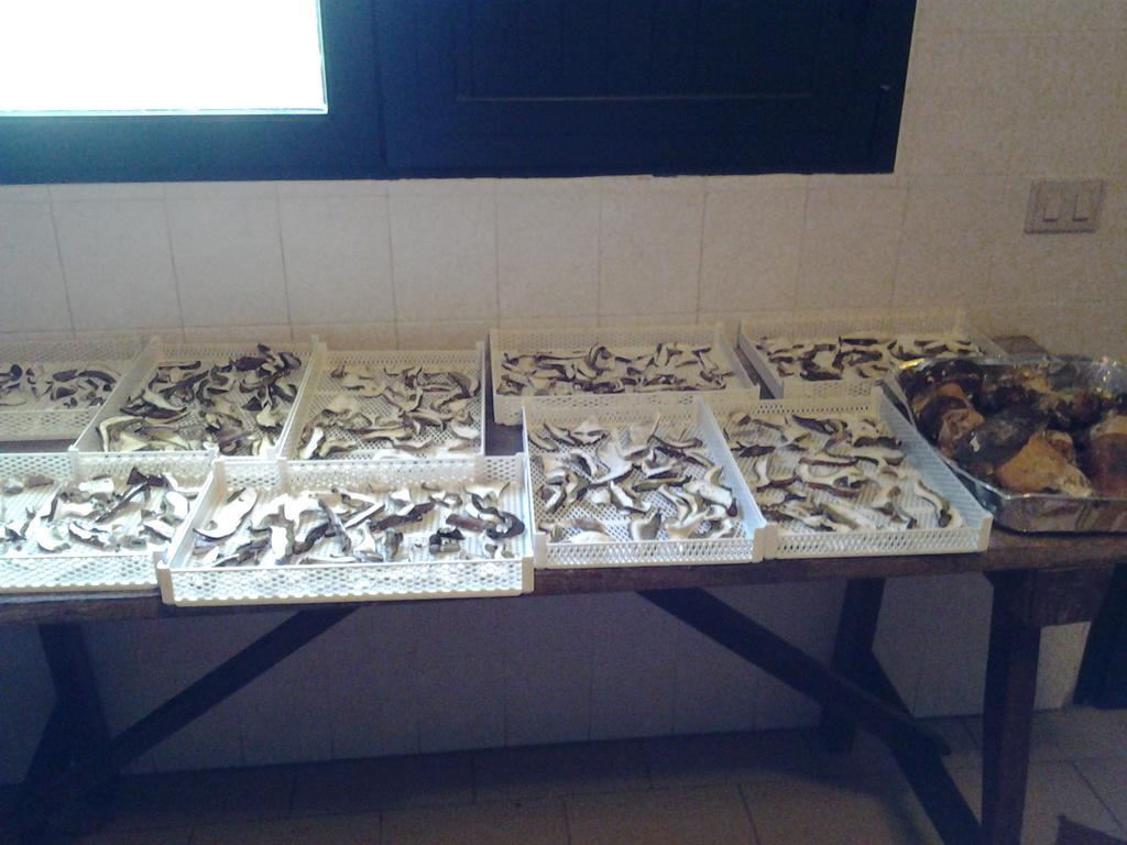 Agriturismo Ticci Seùlo Eksteriør billede