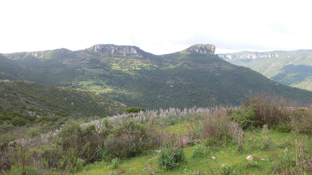 Agriturismo Ticci Seùlo Eksteriør billede