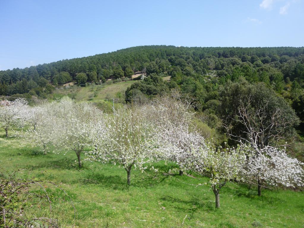 Agriturismo Ticci Seùlo Eksteriør billede