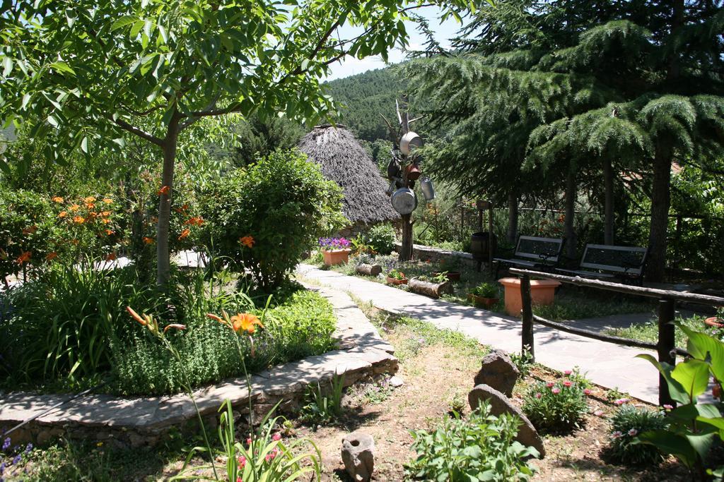 Agriturismo Ticci Seùlo Eksteriør billede