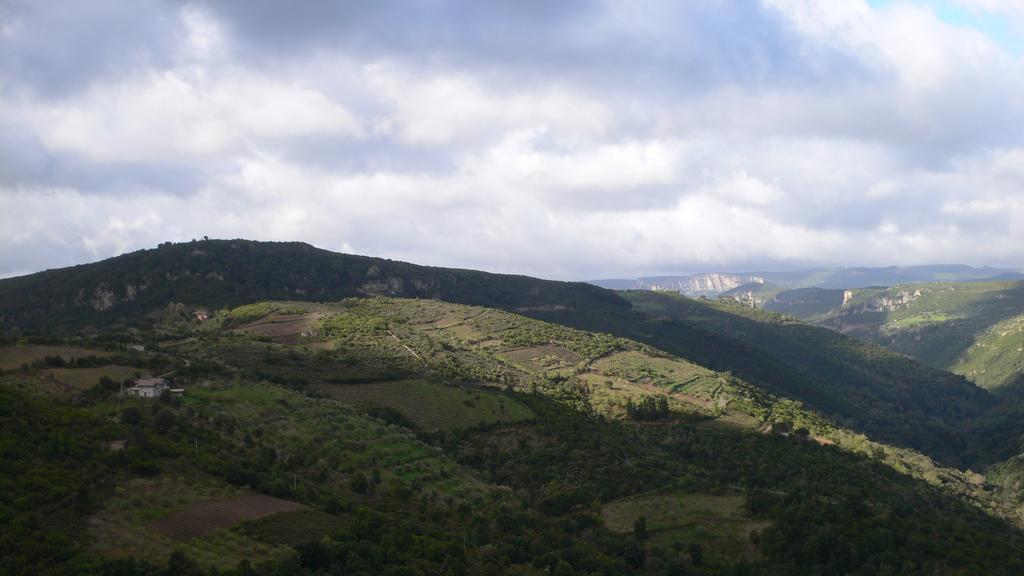 Agriturismo Ticci Seùlo Eksteriør billede