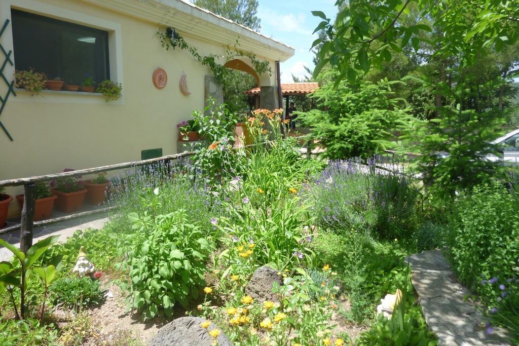 Agriturismo Ticci Seùlo Eksteriør billede