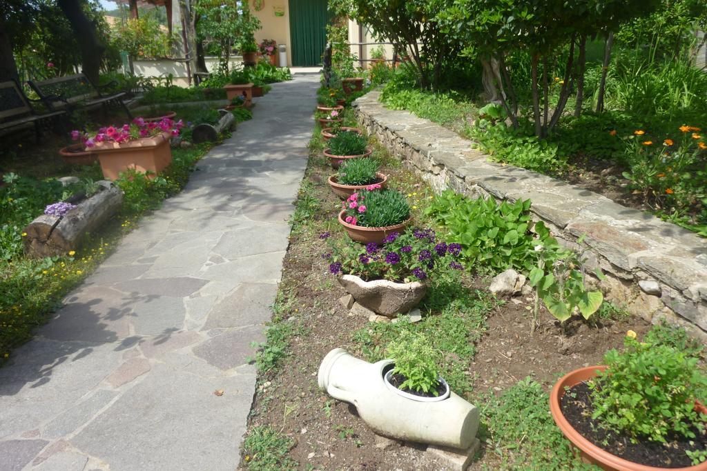Agriturismo Ticci Seùlo Eksteriør billede